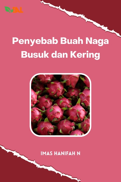 Penyebab Buah Naga Busuk dan Kering